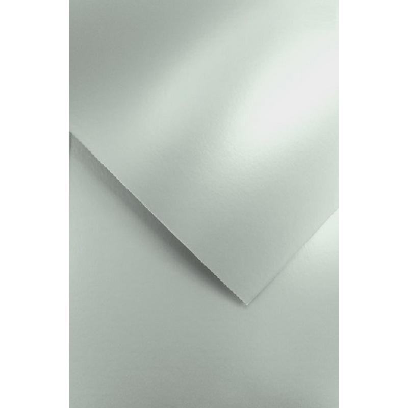 Papier wizytówkowy ozdobny GALERIA PAPIERU MILLENIUM A4 220g/20 ark.- srebrny 200705