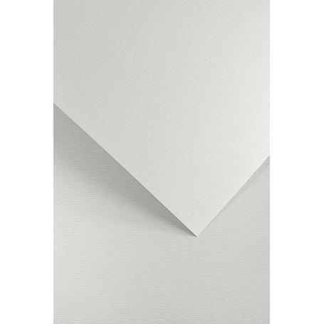 Papier wizytówkowy ozdobny GALERIA PAPIERU KORA  230g/20ark. biały 201501
