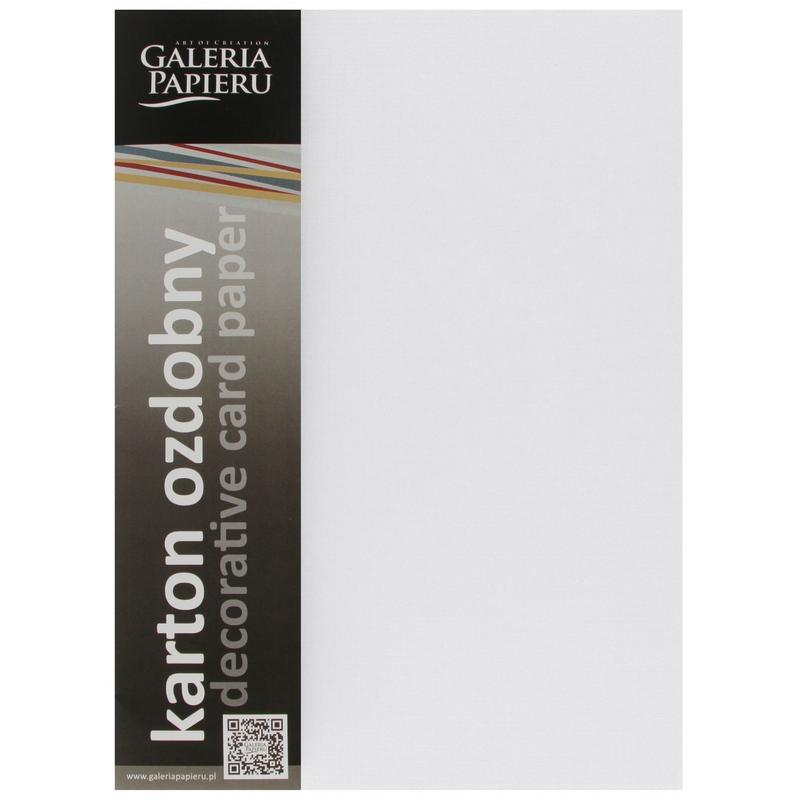 Papier wizytówkowy ozdobny GALERIA PAPIERU KRATKA 220g/20ark. biały 201631