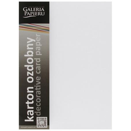 Papier wizytówkowy ozdobny GALERIA PAPIERU KRATKA 220g/20ark. biały 201631