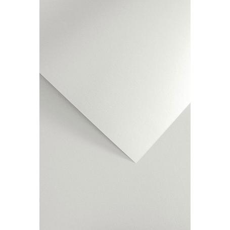 Papier wizytówkowy ozdobny GALERIA PAPIERU BRILLO 220g/20ark. biały  205406