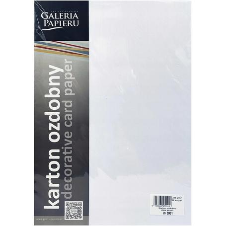Papier wizytówkowy ozdobny GALERIA PAPIERU OAK  230g/20ark. biały 205901
