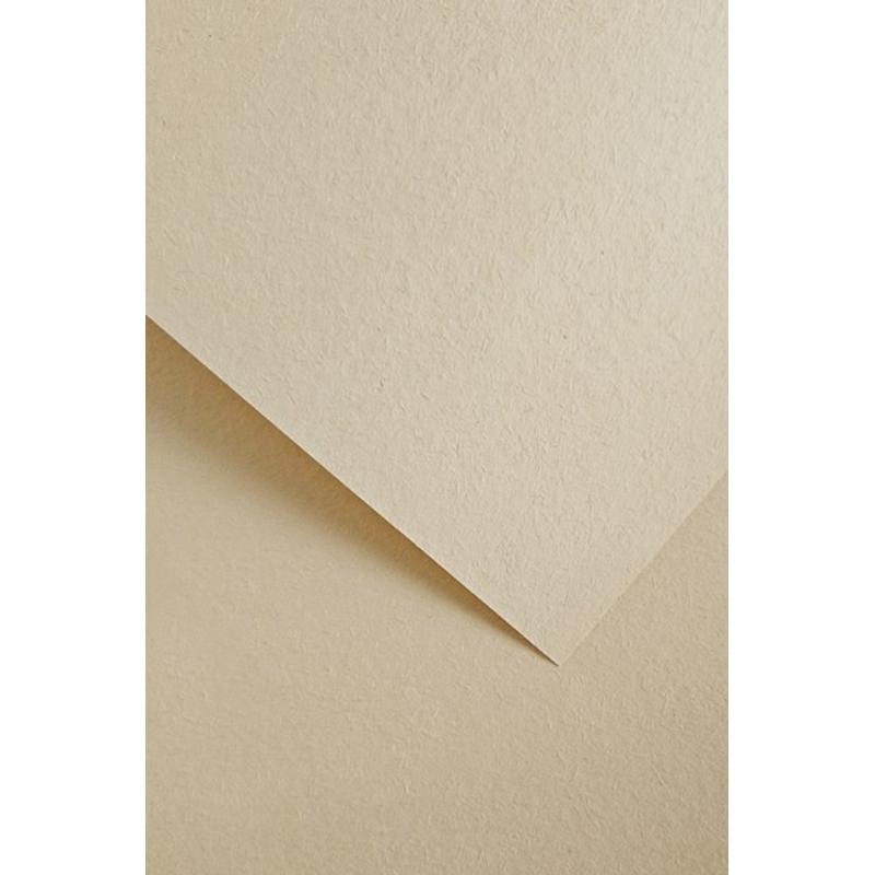 Papier wizytówkowy ozdobny GALERIA PAPIERU WOOD  220g/20ark. jasnokremowy 205611
