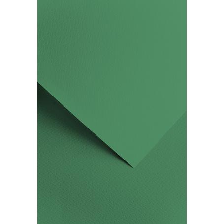 Papier wizytówkowy ozdobny GALERIA PAPIERU SAWANNA 220 g/ 20 ark. – zielony  204814
