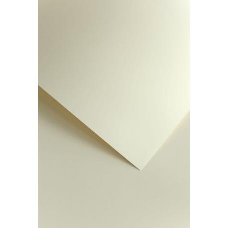 Papier wizytówkowy ozdobny GALERIA PAPIERU GŁADKI 120g/50ark. - kremowy 206802