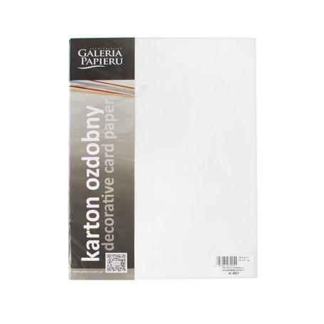 Papier wizytówkowy ozdobny GALERIA PAPIERU SAWANNA 200 g/ 20 ark. – biały 204801