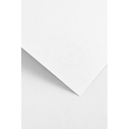 Papier wizytówkowy ozdobny GALERIA PAPIERU RYPS 240g/20ark. biały 201811