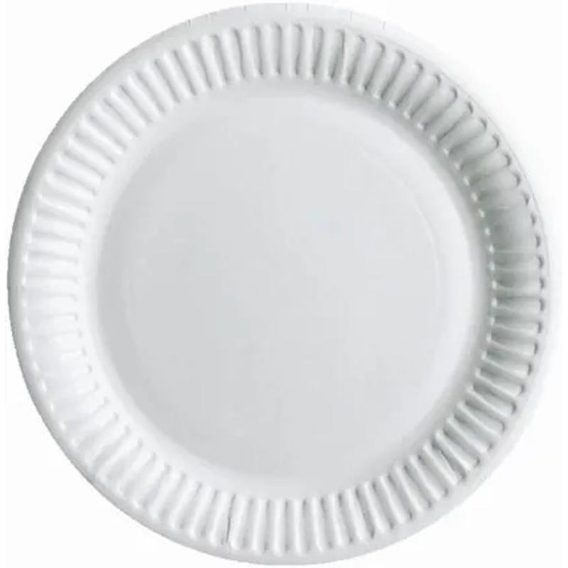 Talerz papierowy 18cm  a`100