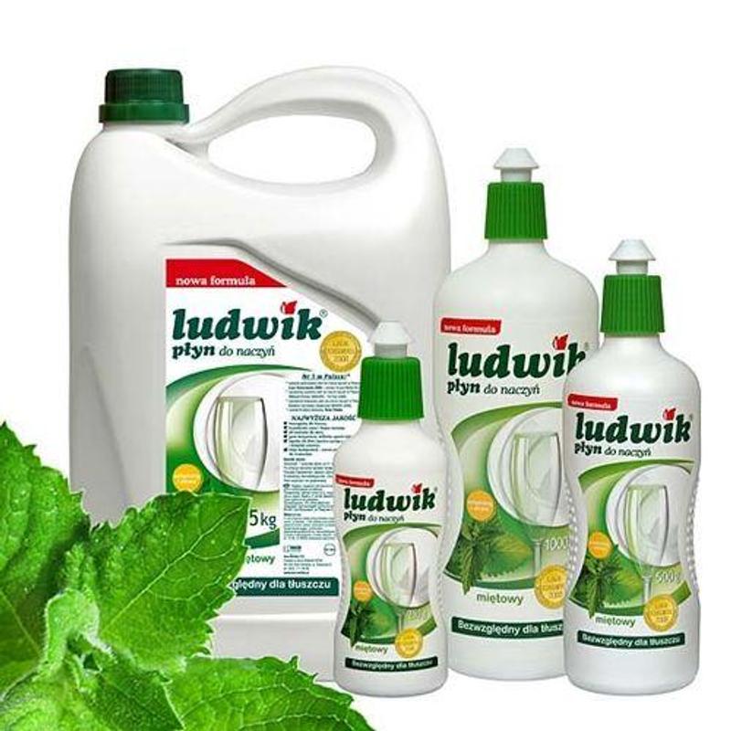 Płyn LUDWIK do naczyń miętowy 5L