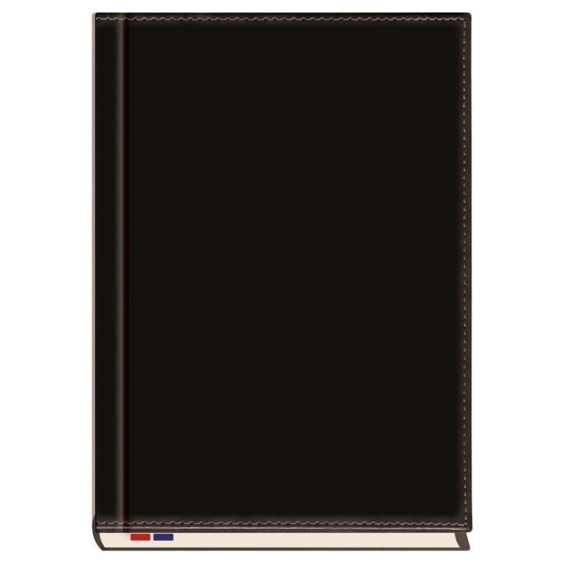 Kalendarz B5 T249N-59  Asesor